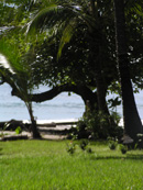 front yard of the beach houses for rent in costa rica