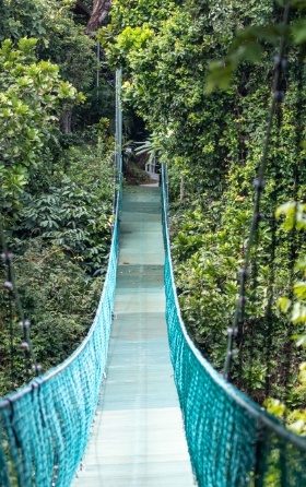blue suspended Bridges at Zipline in the jungle