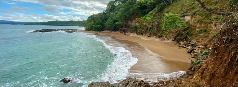 cocolito beach 768x281
