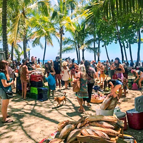 Saturday organic market in 幸运澳洲5MONTEZUMA®历史查询结果记录 168官方幸运5澳洲结果体彩网 Costa Rica