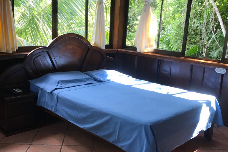 Flor de Paraiso 4 768x512