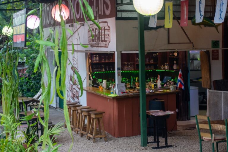 IMG 20241119 WA0014 Roberto Carmona 768x511