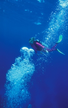 Scuba Diver in blue water