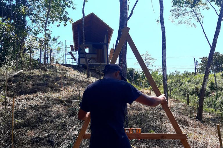 Sura Forestry 3 768x512