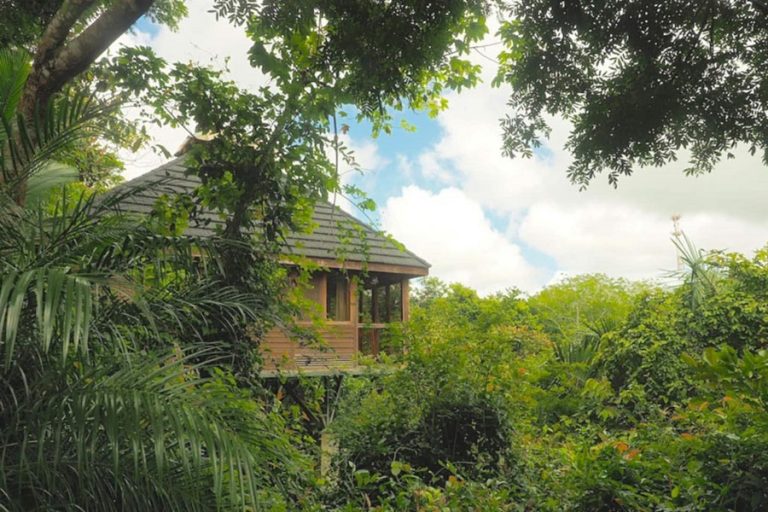 Taru Vacation Rentals 8 768x512