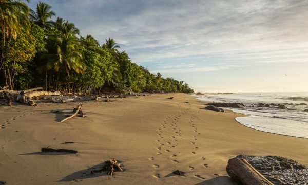 footprints on beautiful beach