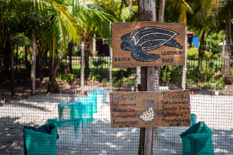 Volunteering Montezuma Sigh