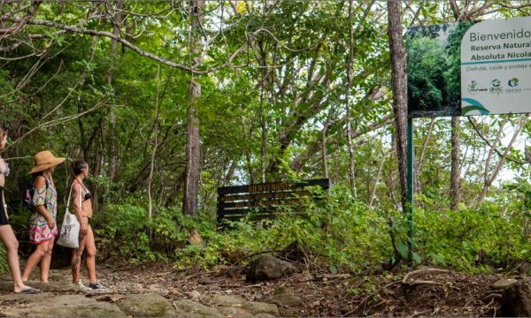 family of tourists looking at the Wessberg sign