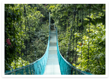 blue canopy bridge