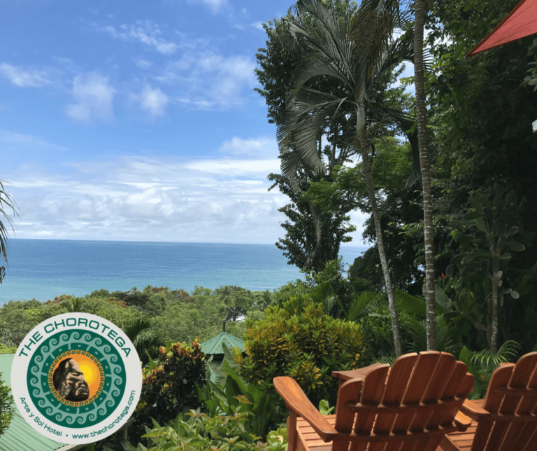 DiseÃ±o sin tÃ­tulo 5 Andres Chavalazo 768x644