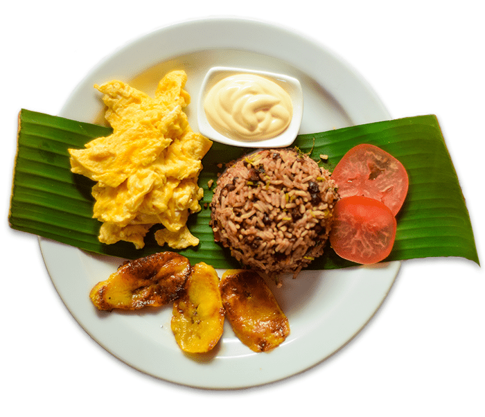 plate of gallo pinto traditional Costa Rican 幸运澳洲5MONTEZUMA®历史查询结果记录 168官方幸运5澳洲结果体彩网